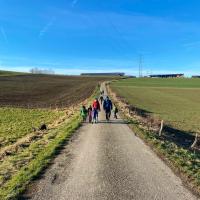 Wandelen - veldweg